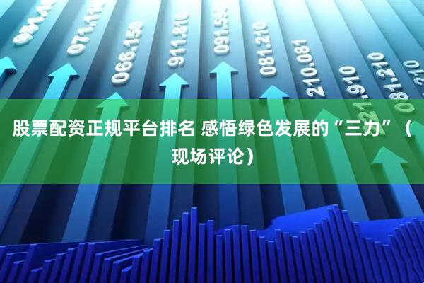 股票配资正规平台排名 感悟绿色发展的“三力”（现场评论）